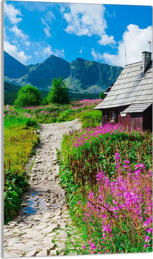 Üveg Vágódeszka 30x52 Hegyek A Konyhába