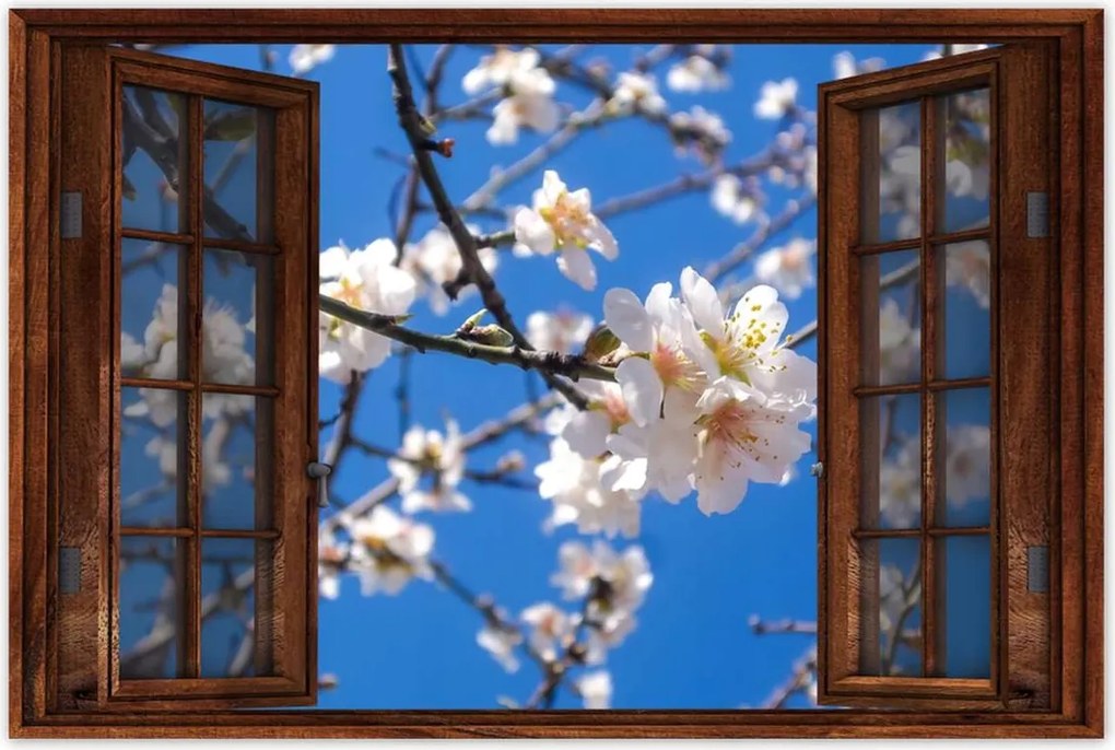 Poszter 60x40 Almafa virág