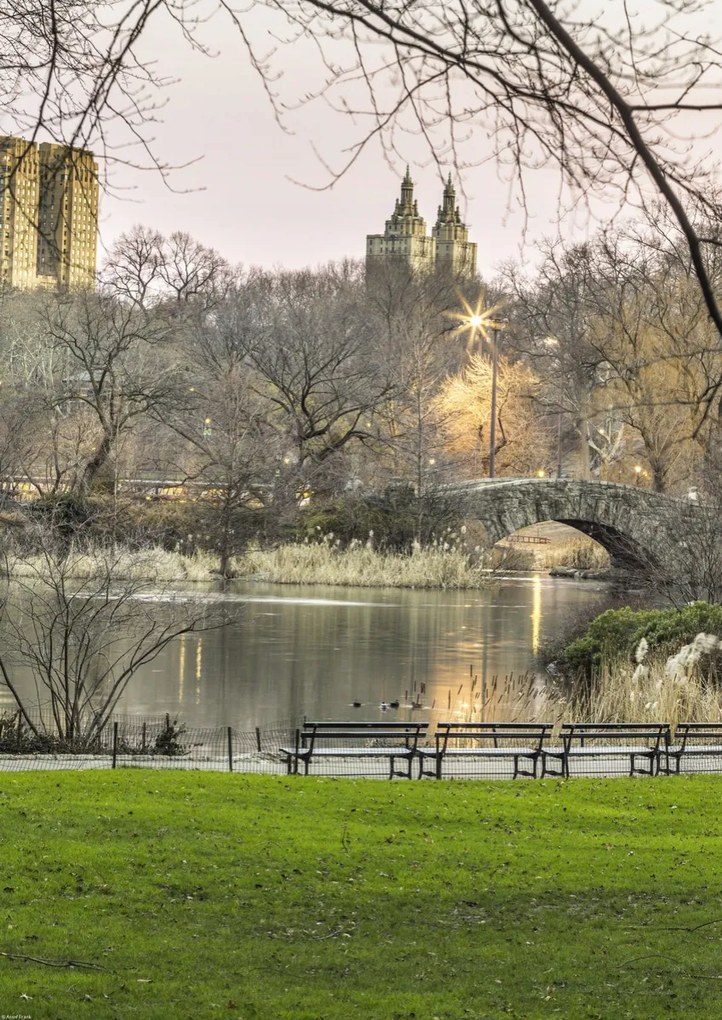 Poszter 42x59,4cm Központi park Manhattan panorámával 5, Assaf Frank