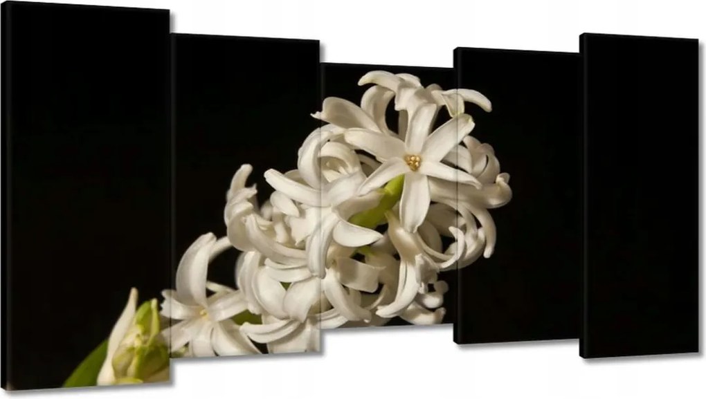 Vászonkép 150x80 Fehér virág