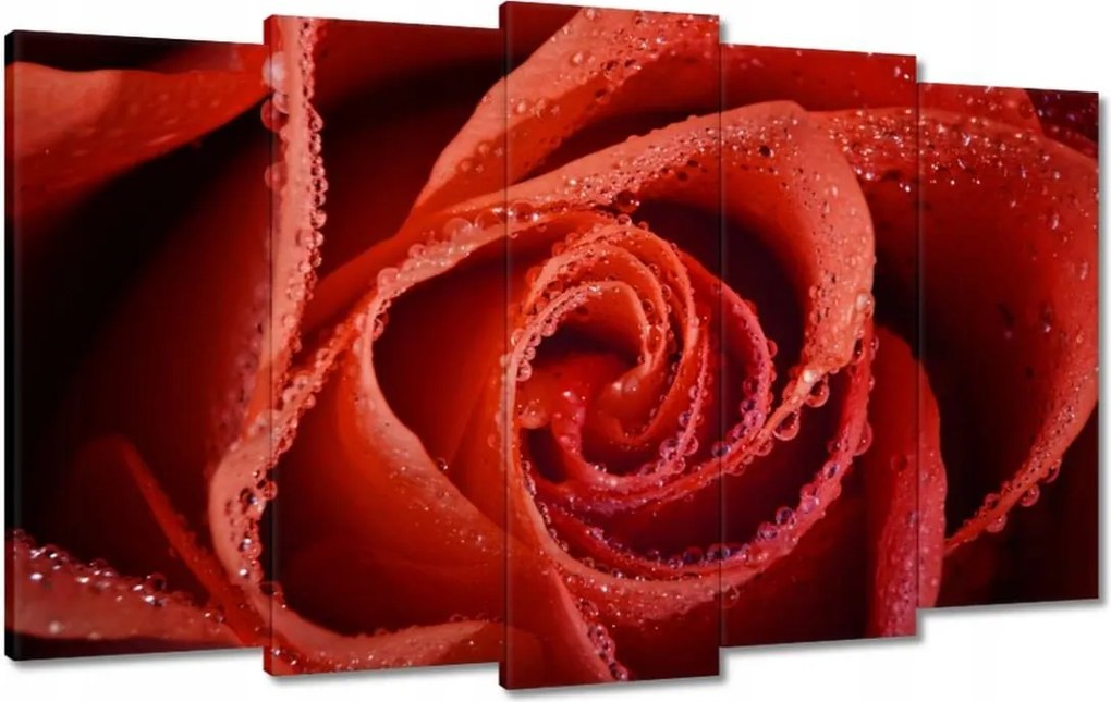 Vászonkép 100x60 Harmatcseppek a rózsán