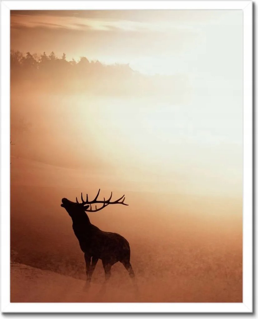 Poszterek keretben 40x50 Szarvas az erdő szélén