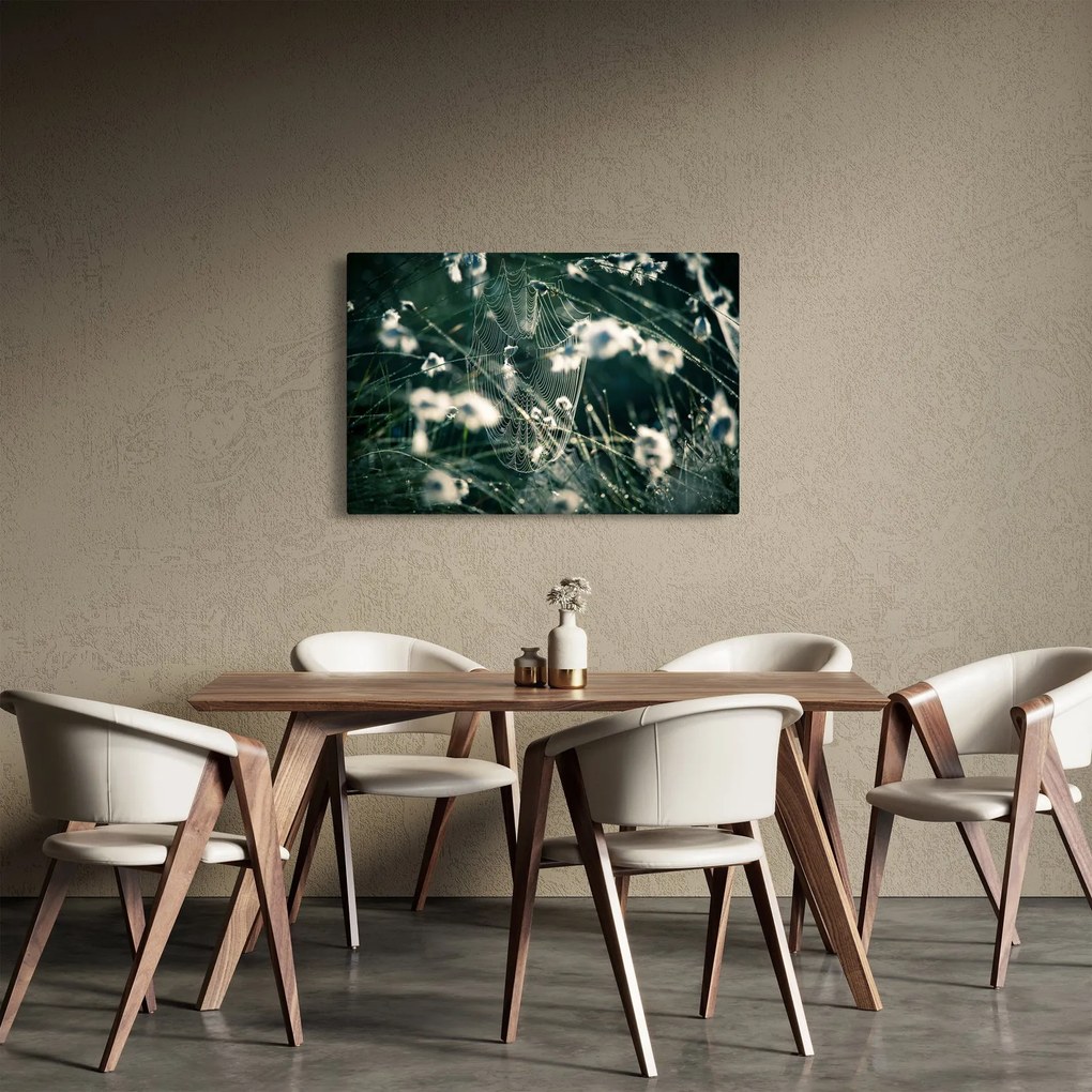 Kép - Pókháló (90x60 cm)