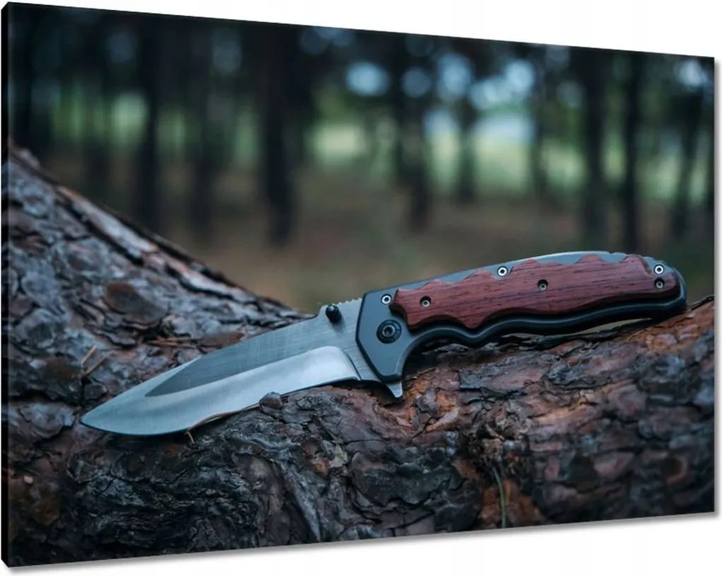 Vászonkép 100x70 Kés fekszik egy fatörzsön