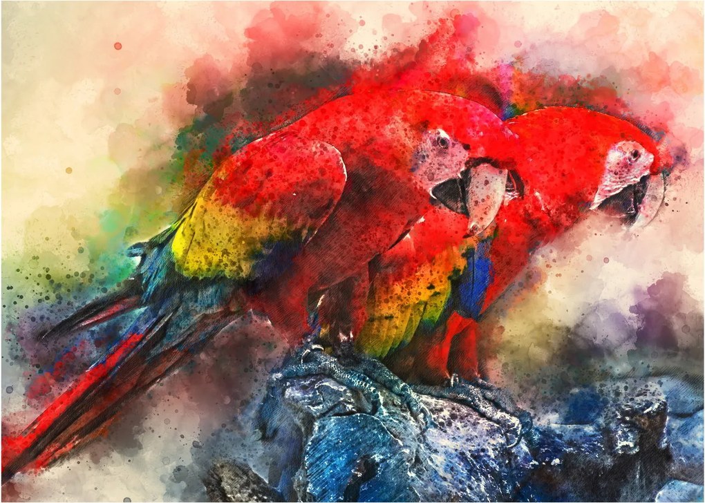 Vörös ara papagájok képe (70x50 cm)