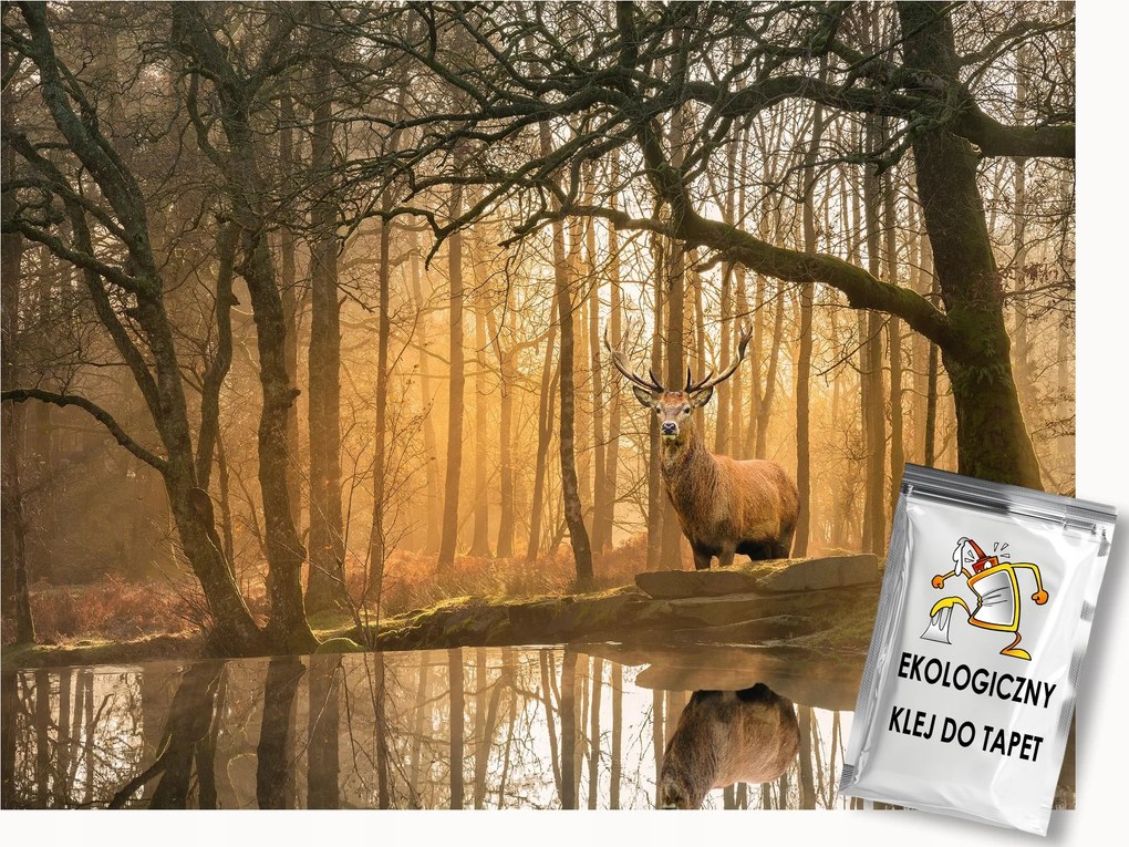 Fotótapéta Flizelina Természet Kilátás Erdő Fák Szarvas Víz Ősz 100x75 ragasztó