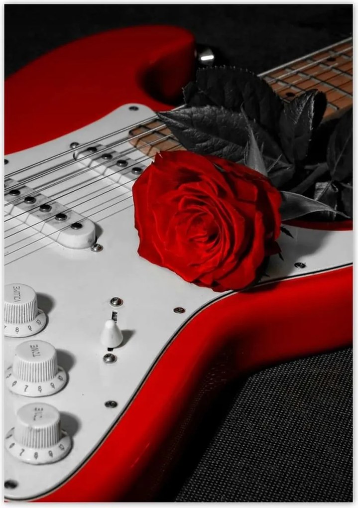 Poszterek 70x100 Rózsa Elektromos gitár