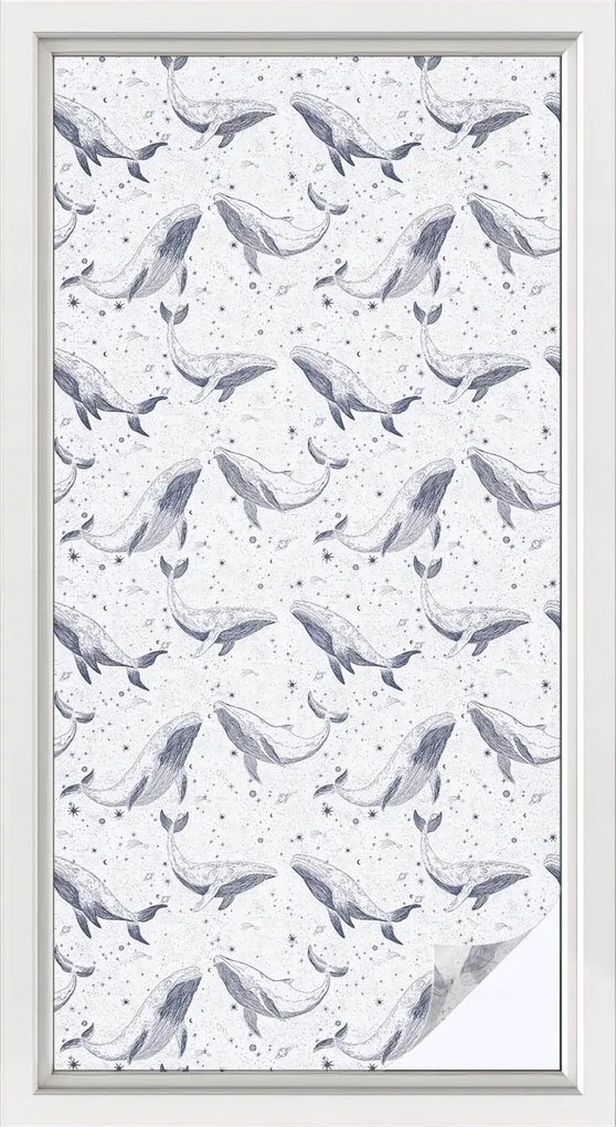 Szélvédőfólia Ablakvédő Magánszféra Tengeri lények 50x100