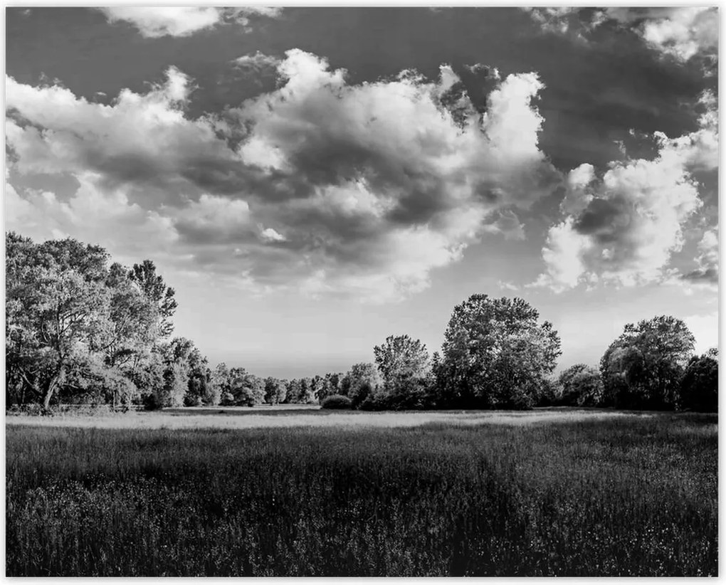 Poszterek 50x40 Vidéki réti táj