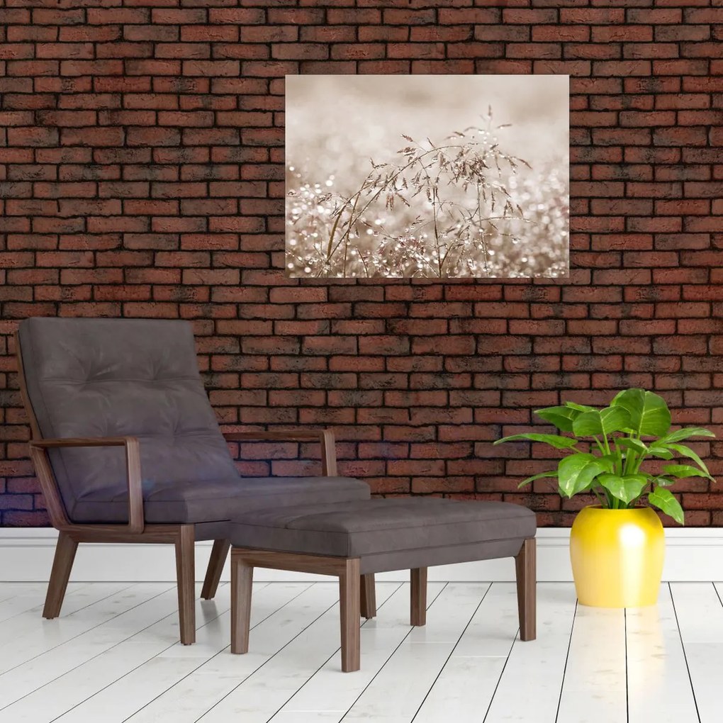 Üveg kép - rét barna árnyalatokban (70x50 cm)