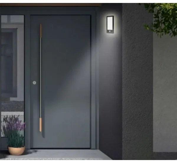 Telefunken 313905TF -LED Kültéri fali lámpa érzékelővel LED/16W/230V IP44