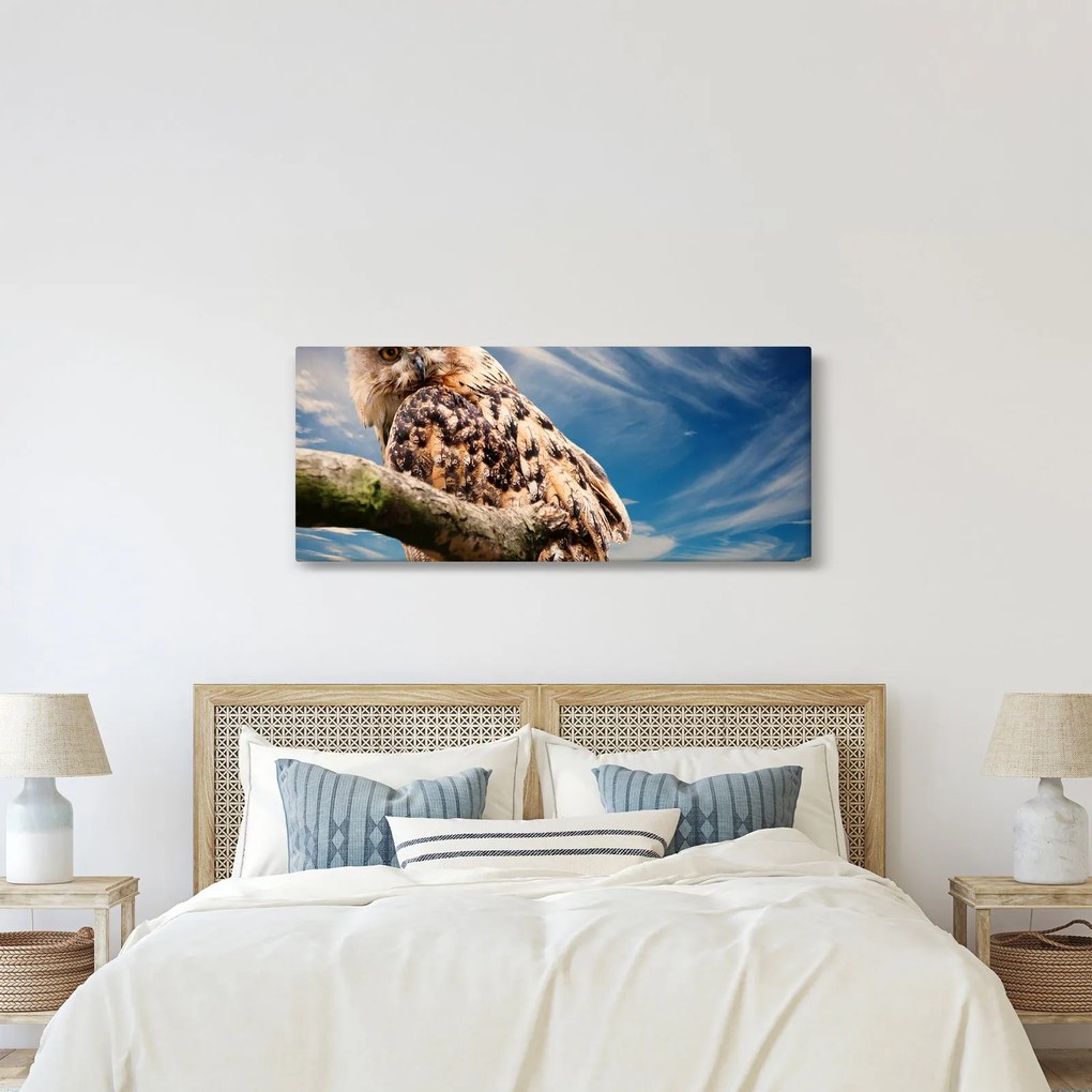 Bagoly képe (120x50 cm)