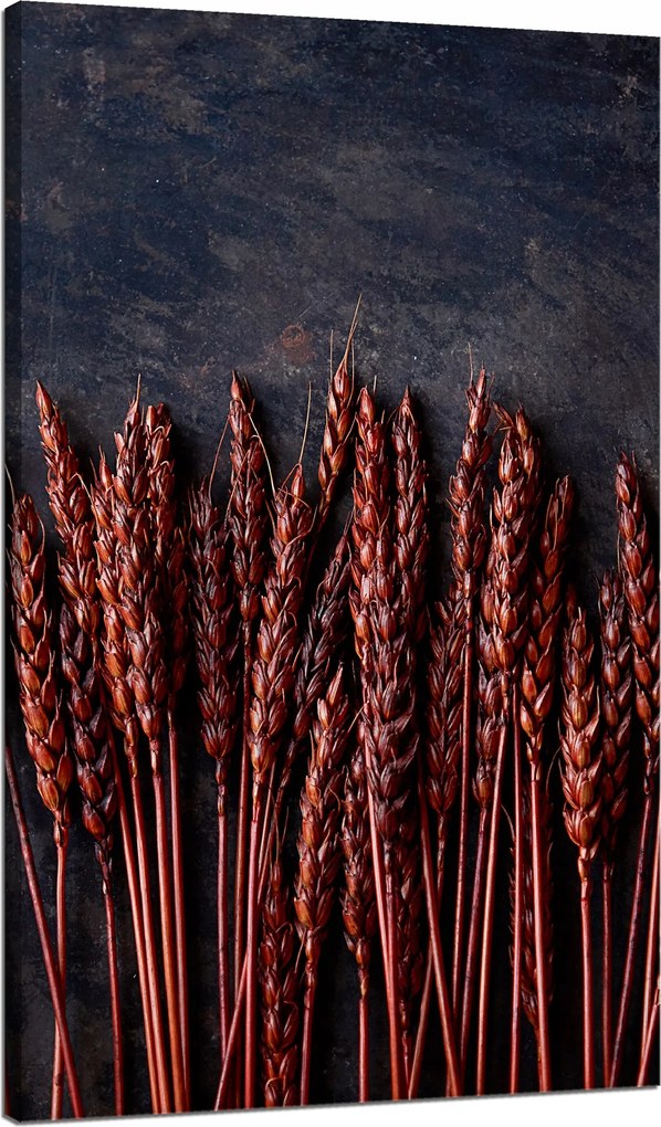 Botanika Vörös búza vászonkép 70x120