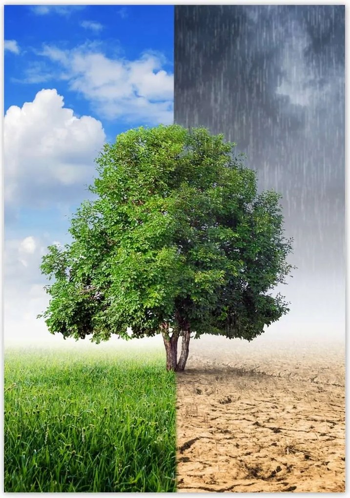 Poszterek 70x100 Esős évszak