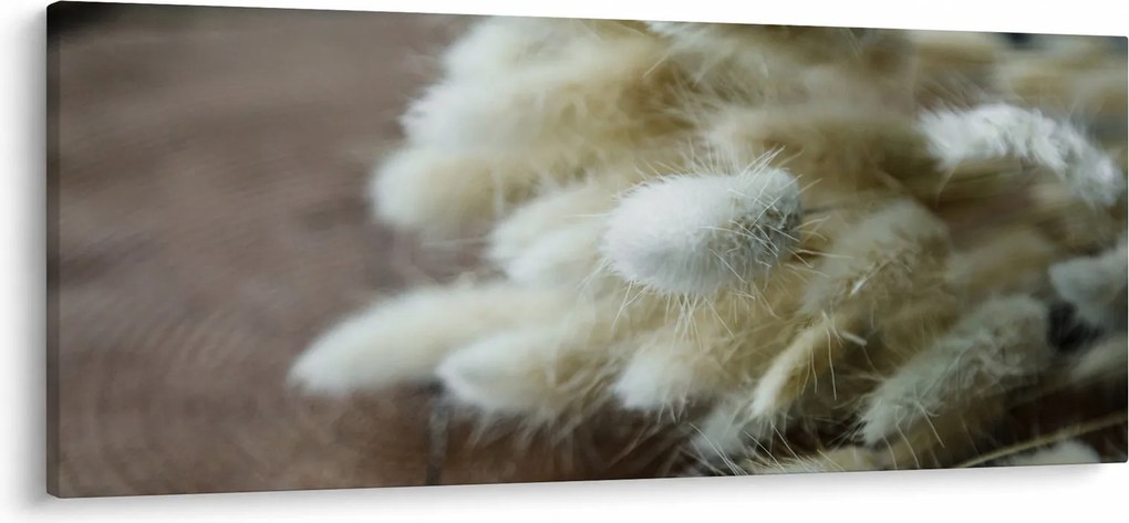 Kép - Nyuszi Farok (120x50 cm)
