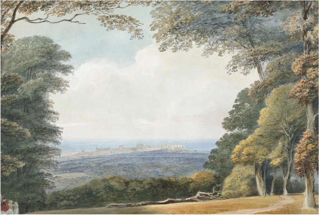 Stílusos Dekoratív fotótapéta Flizelin Erdő táj 104x70