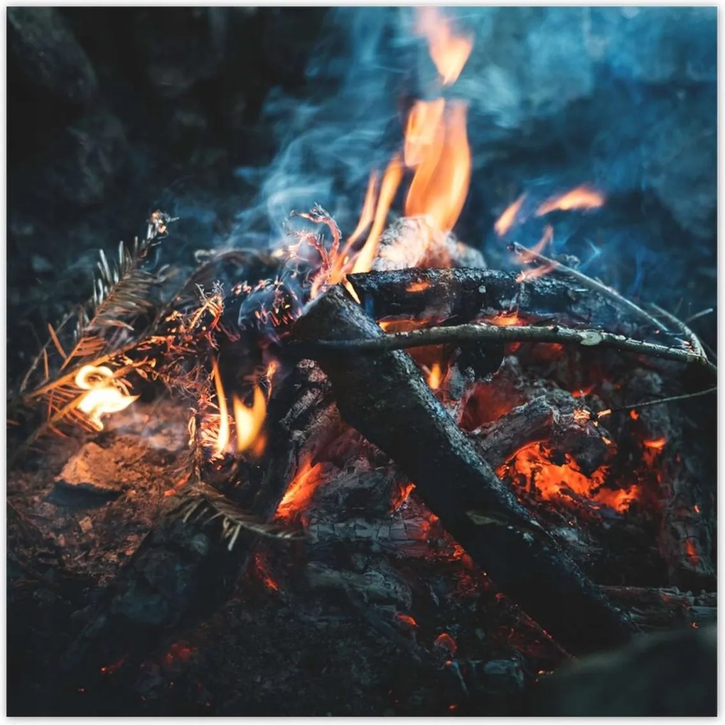 Poszterek 100x100 Tűz az éjszakában az erdőben