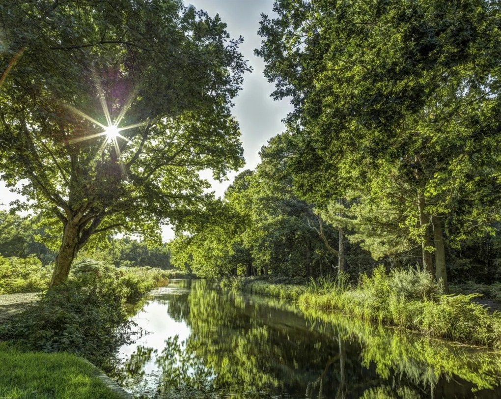 Poszter 76x60,5cm Basingstoke csatorna vidéken 2, Assaf Frank