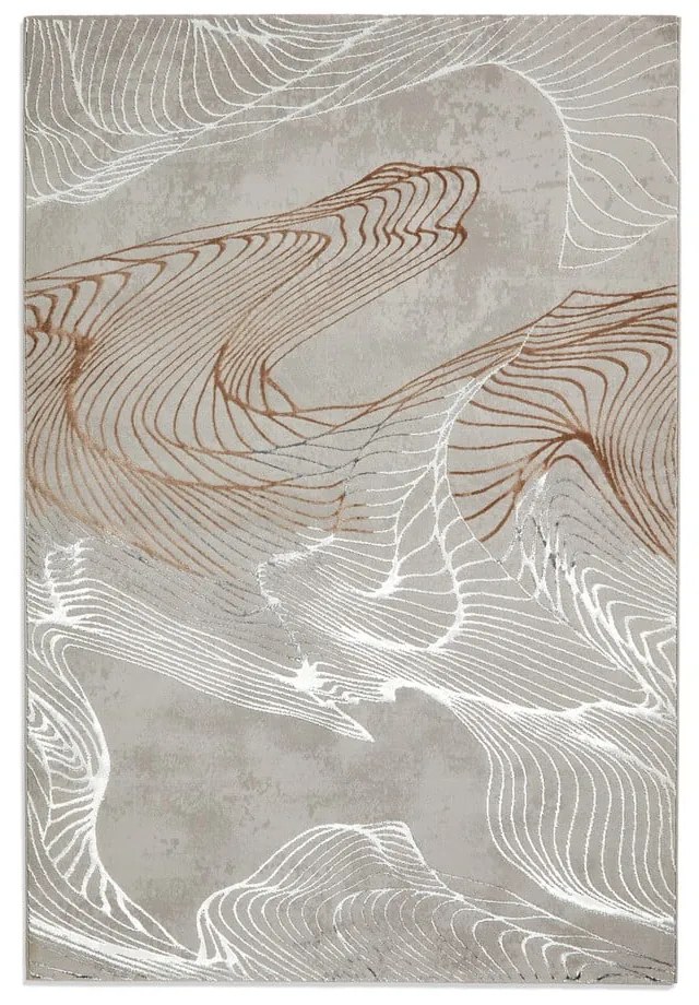 Szürke szőnyeg 120x170 cm Creation – Think Rugs