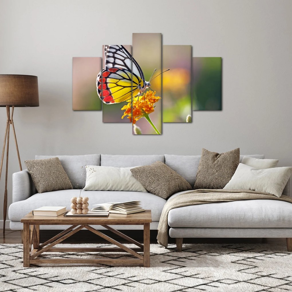 Egy pillangó képe a virágon (150x105 cm)