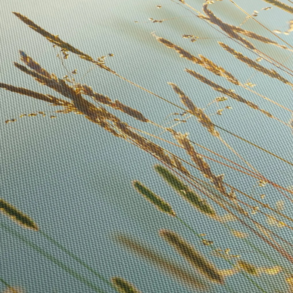Kép - Réti pillanat (120x50 cm)