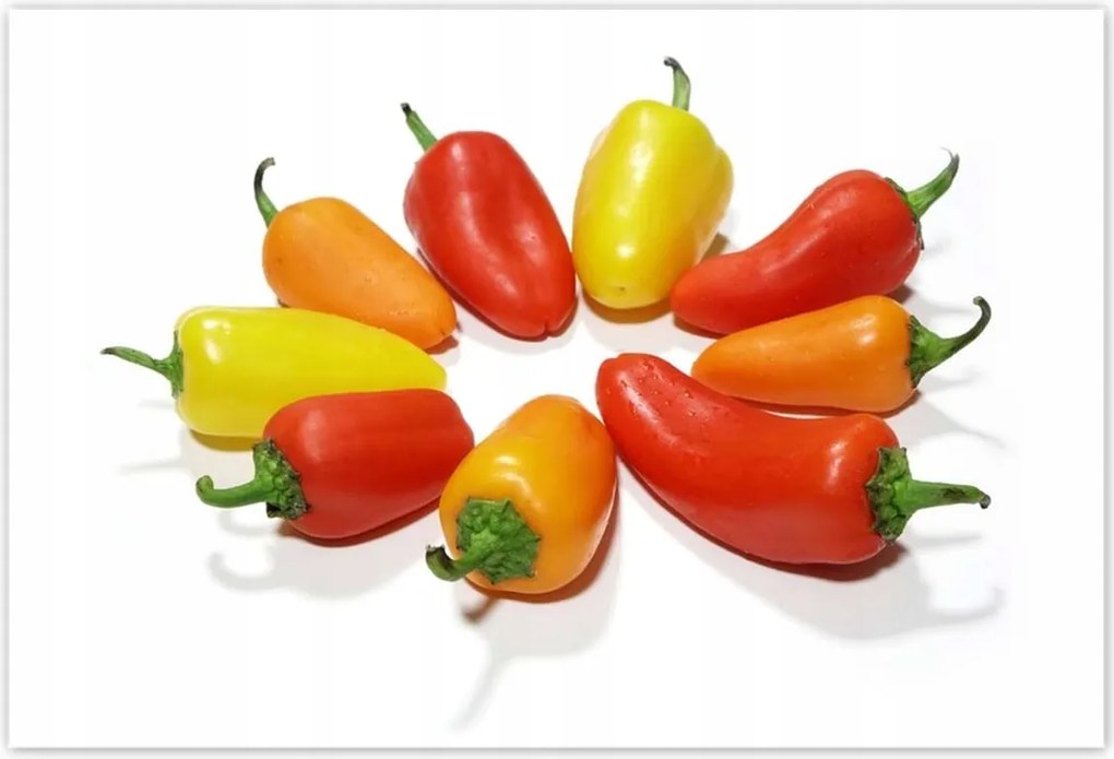 Poszterek 185x125 Paprika Konyha dekoráció