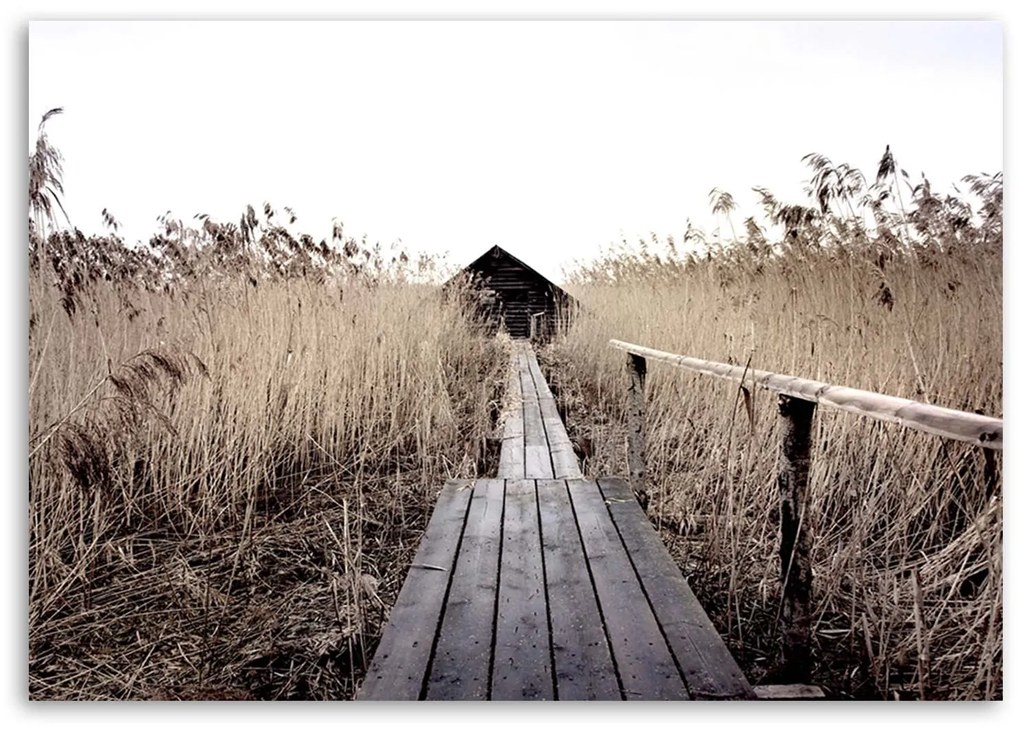 Gario Vászonkép Régi móló a magas nádasban Méret: 100 x 70 cm