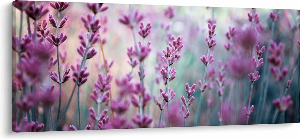 Kép - Levendula (120x50 cm)