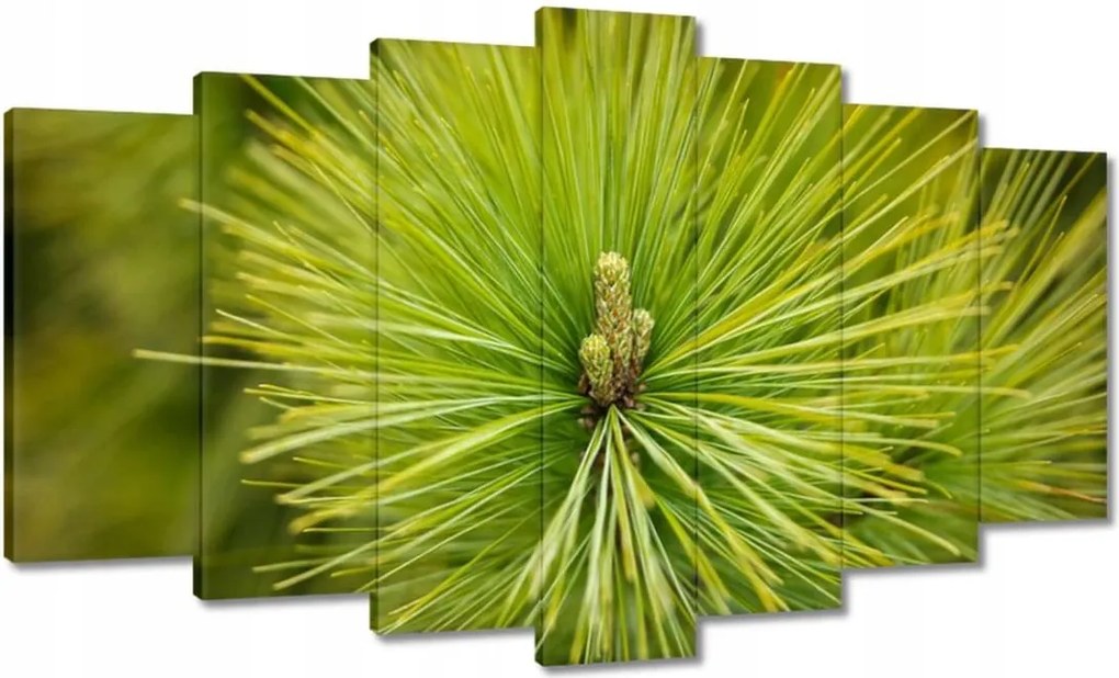 Festmények 140x80 Ág