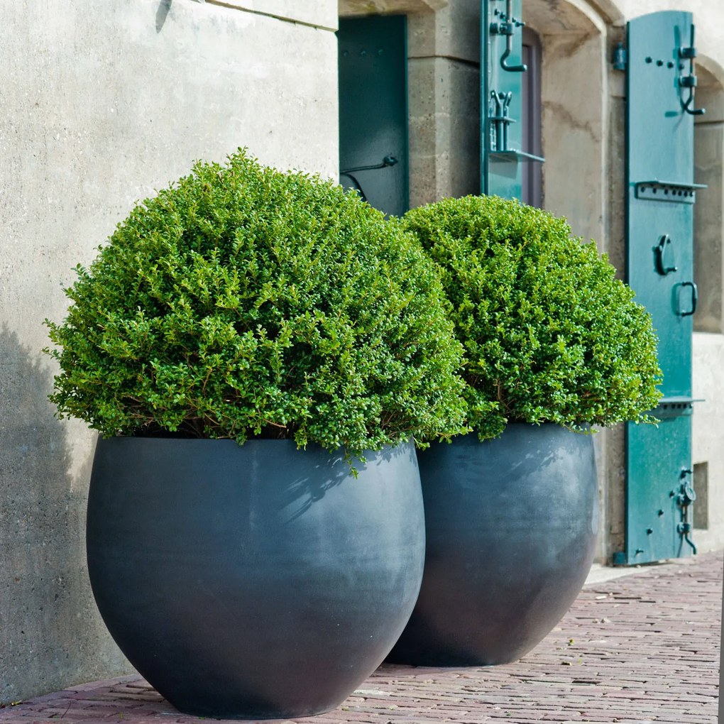 Jumbo Orb virágcserép, szürke, többféle méretben - Pottery Pots méret: M - h 93 cm, ⌀ 110 cm