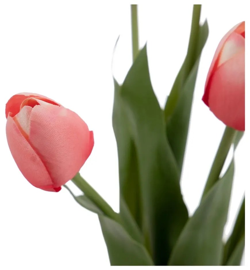 Művirág (magasság 31 cm) Tulips – Ixia