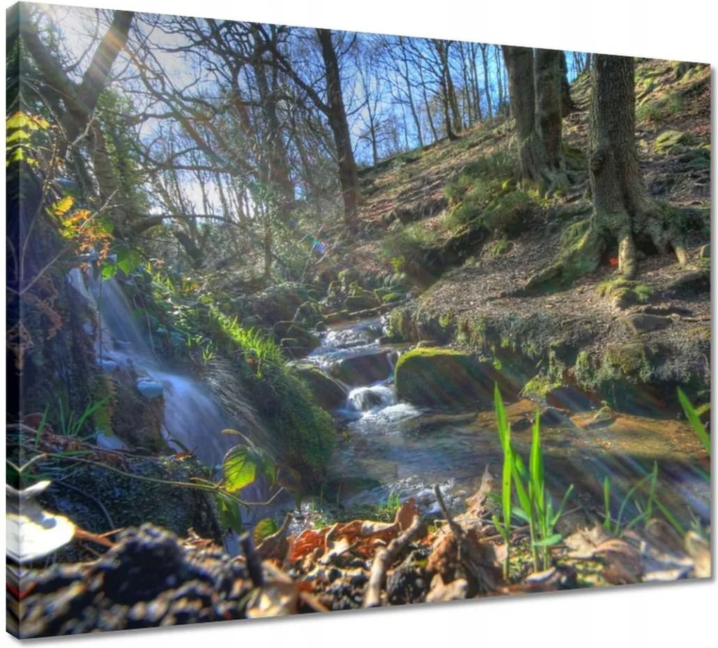 Vászonkép 50x40 Napfelkelte