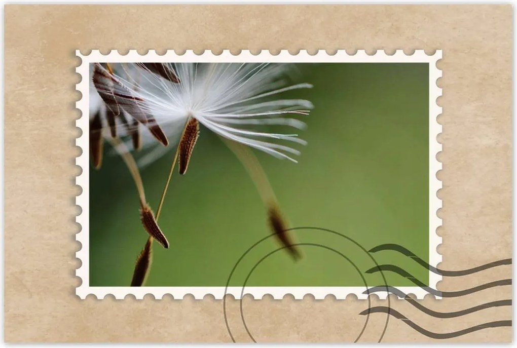 Poszterek 60x40 Pitypang Virág Virágok