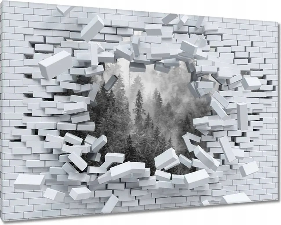 Vászonkép 90x60 Tájkép Szürke Hegyek Köd