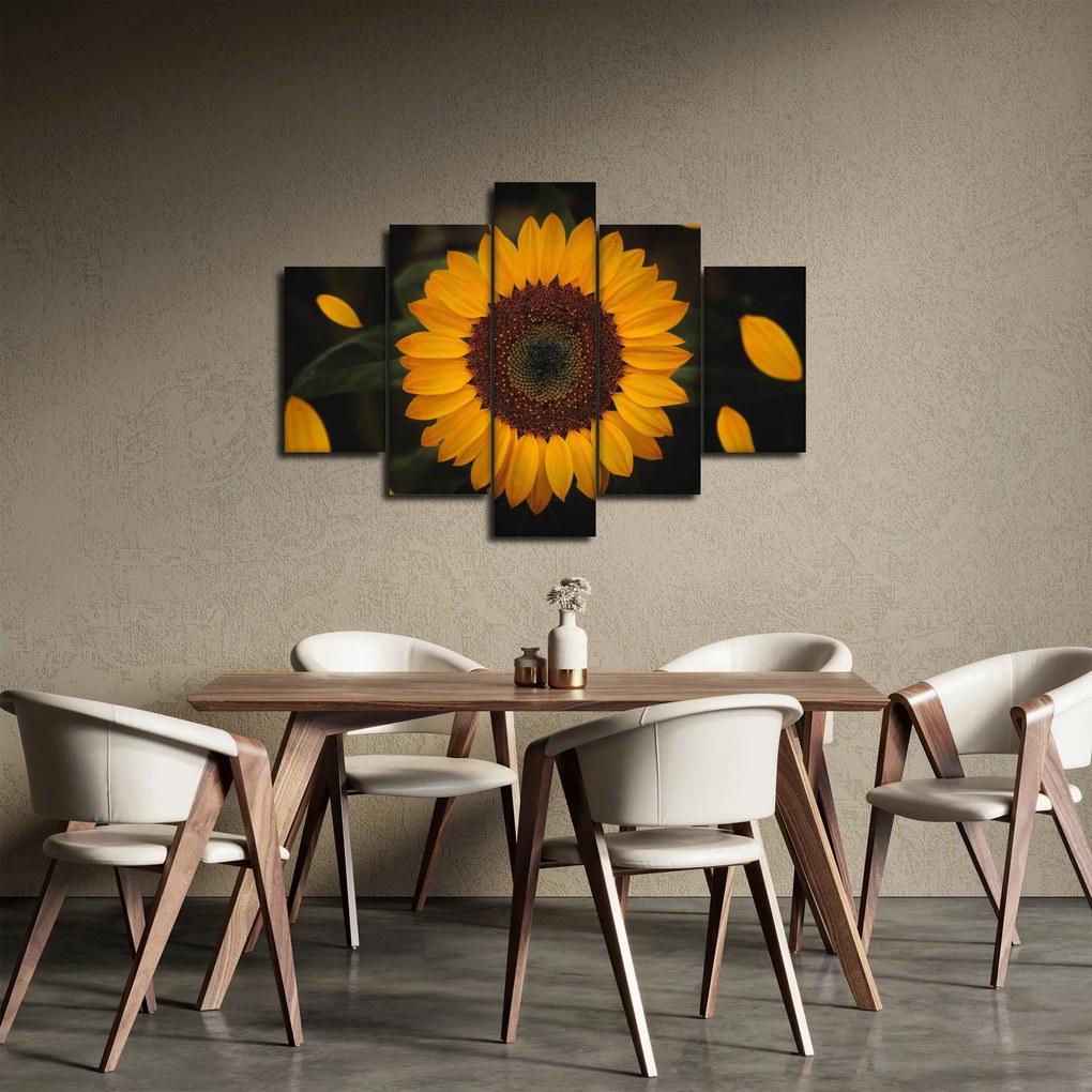 Kép - Napraforgók és a virágszirmok (150x105 cm)