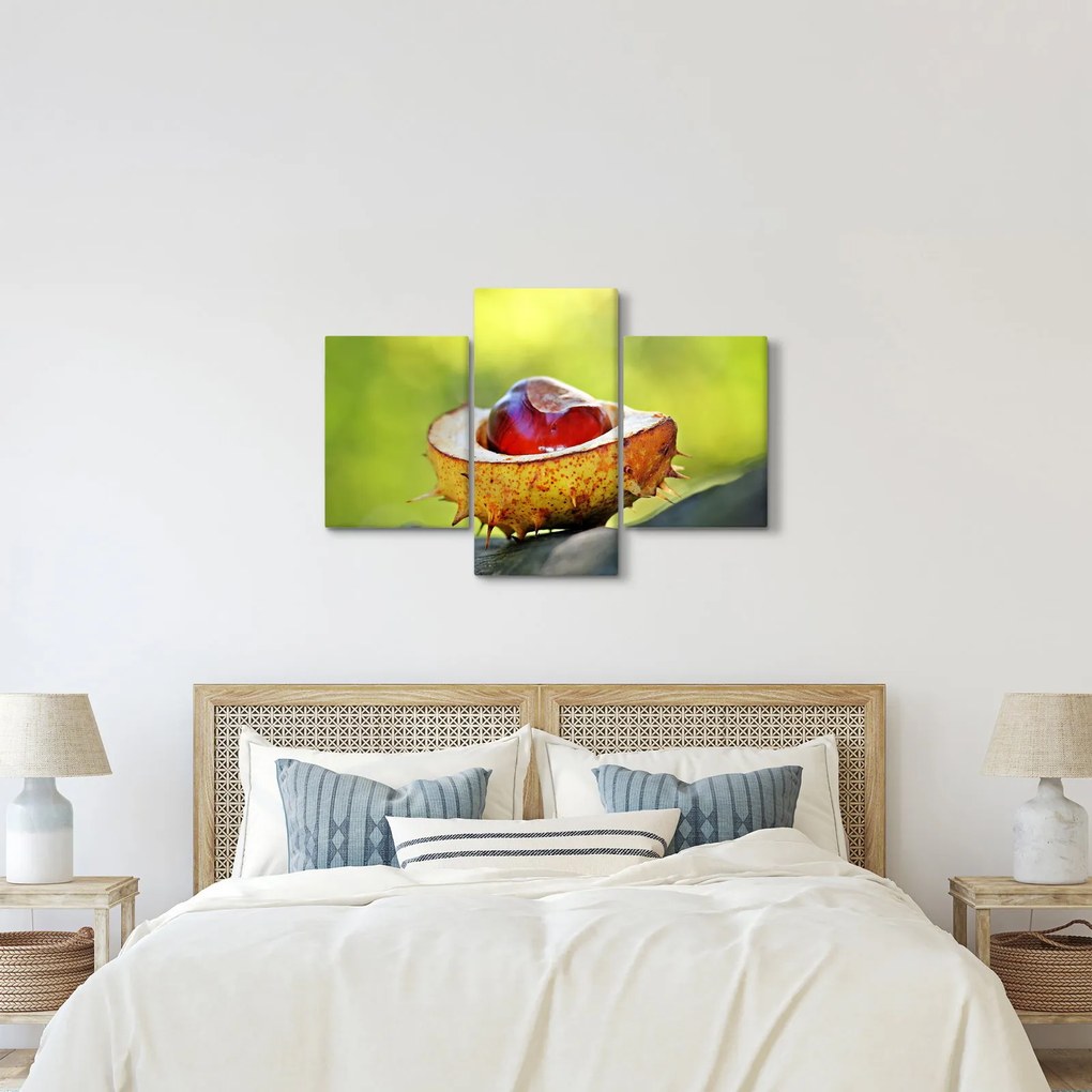 Gesztenye képe (90x60 cm)