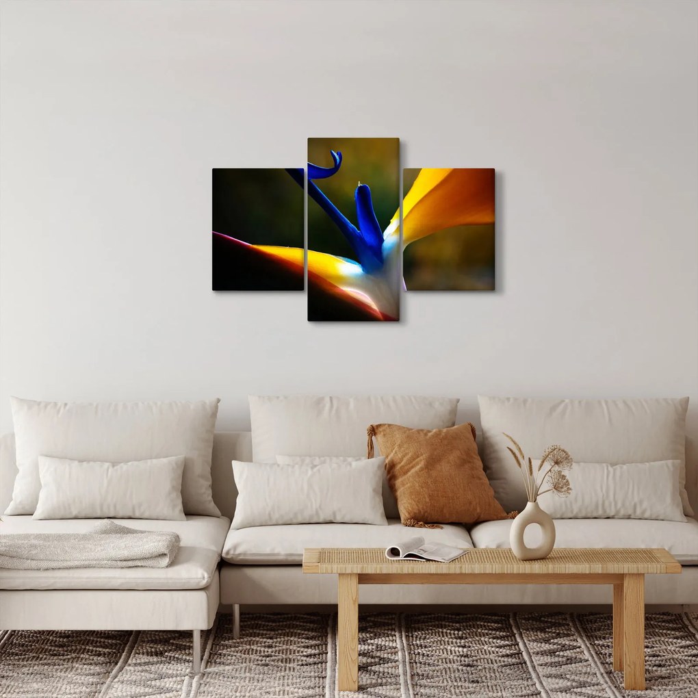 Kép - Egzotikus virág (90x60 cm)