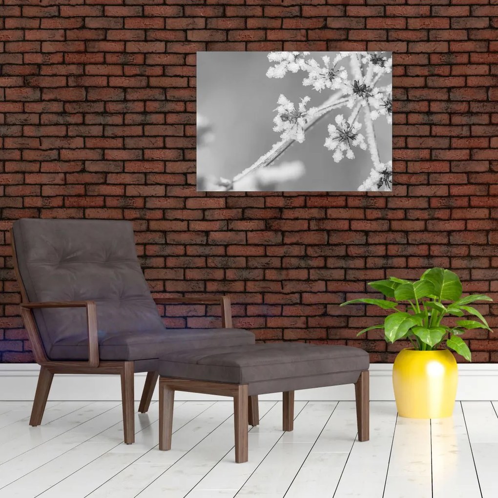 Üveg kép - Fagyasztott növény (70x50 cm)