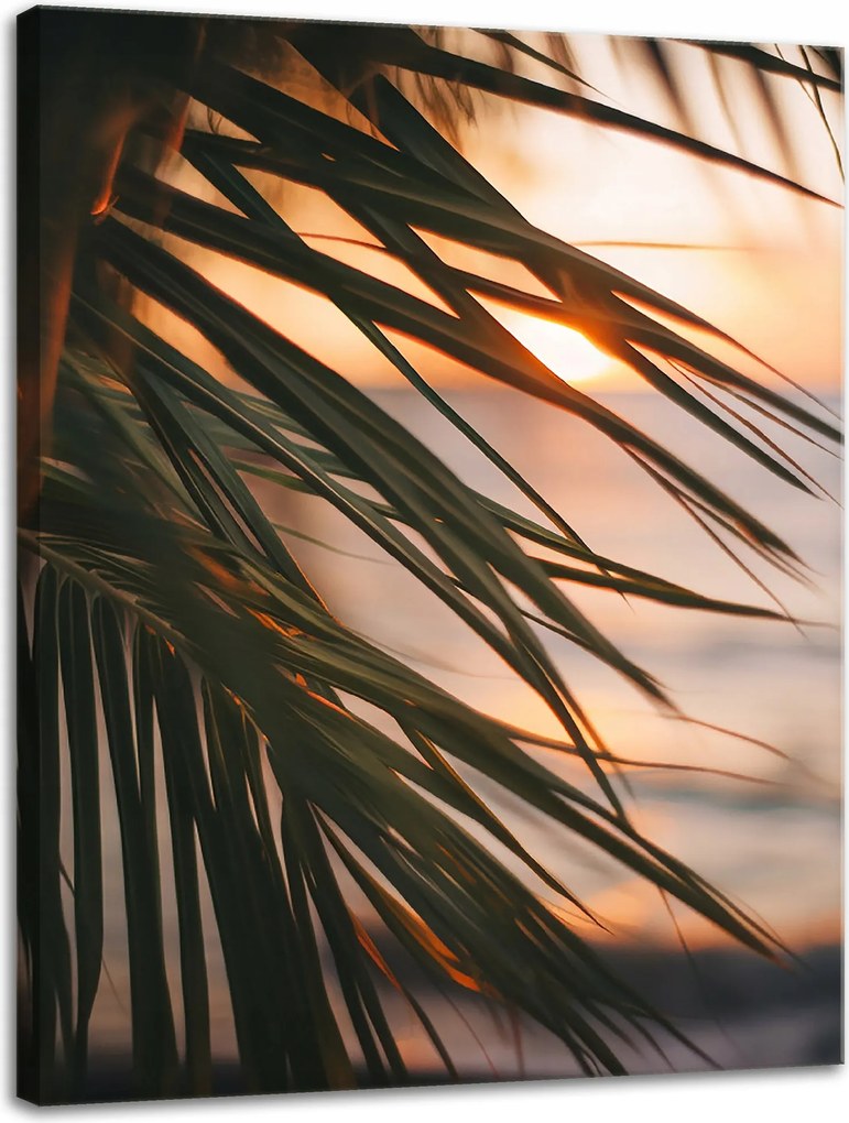 Vászonkép Természet Tengerpart Pálma Tenger Naplemente 30x40