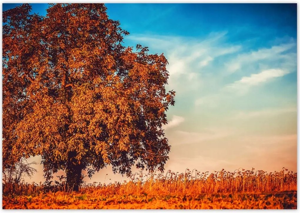 Fotótapéták 208x146 Jessiene színek Tájkép