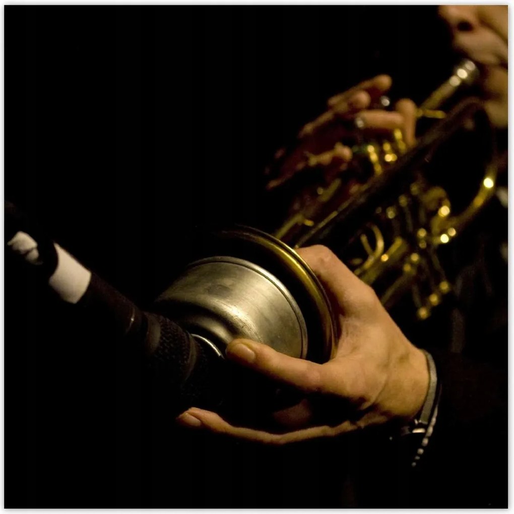 Poszterek 100x100 Jazz zenész