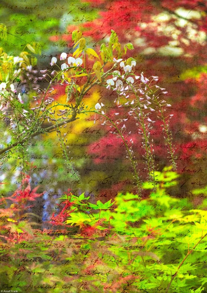 Poszter 21x29,7cm Színes tavaszi lila, Assaf Frank