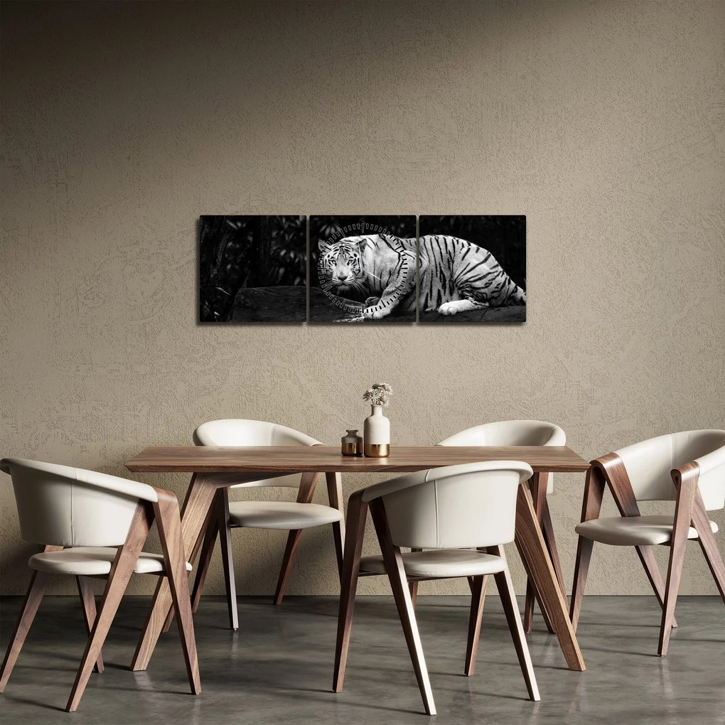 Kép - albínó tigris, fekete-fehér (órával) (90x30 cm)