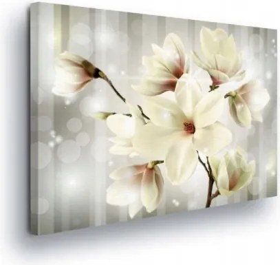 Vászonkép 80x60 Magnólia virágok fehér finomság frissesség tavasz természet