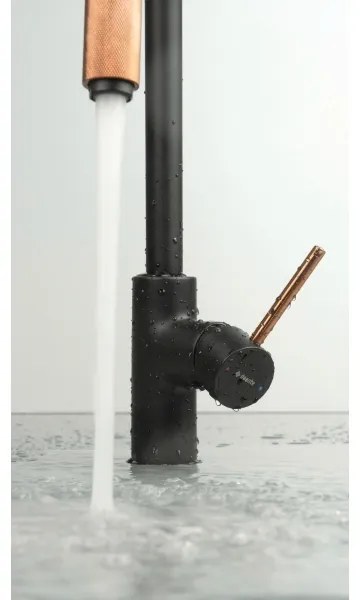 Deante BCA_B64M - Mosogató csaptelep ASTER fekete/sárgaréz