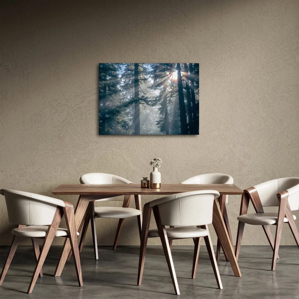 Fák képe a ragyogó nappal (70x50 cm)