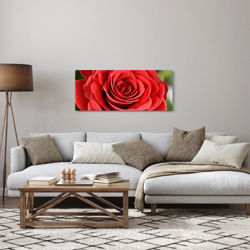 Egy rózsa virág képe (120x50 cm)