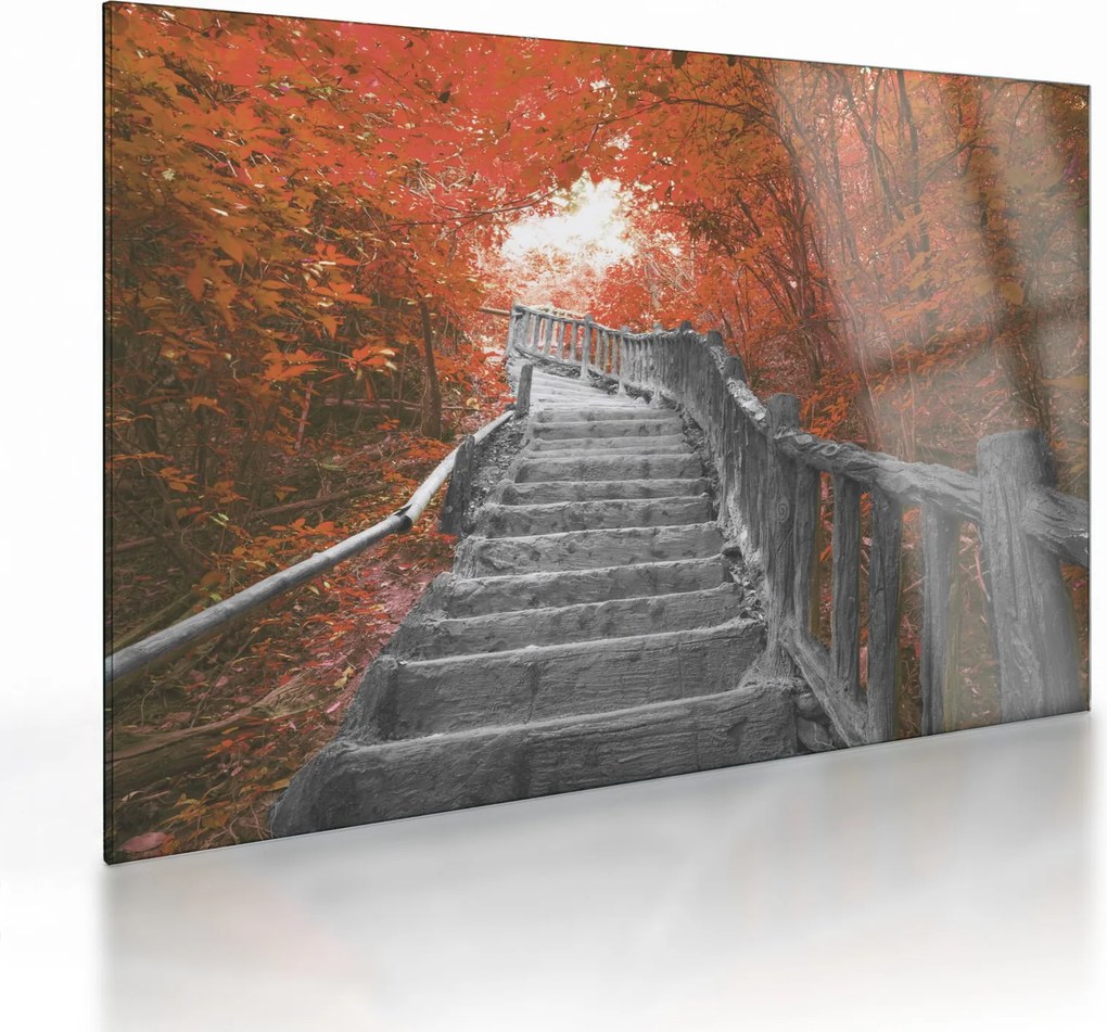 Üveg kép - Lépcsők a természetben, narancssárga (70x50 cm)