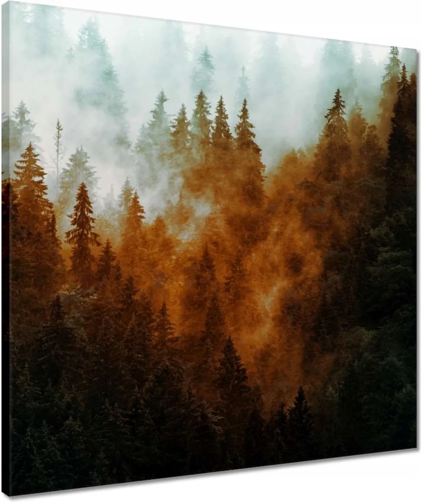 Vászonkép 50x50 Őszi táj Hegyek