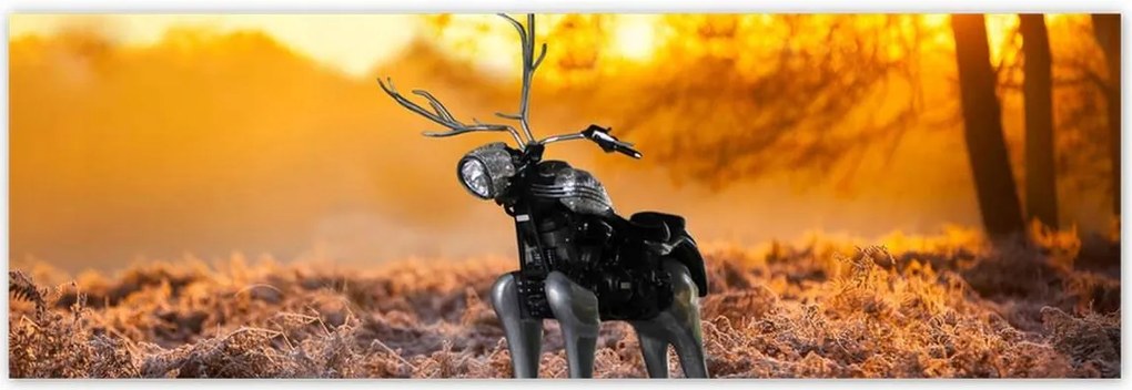 Poszterek 200x66 Chopper az erdőn